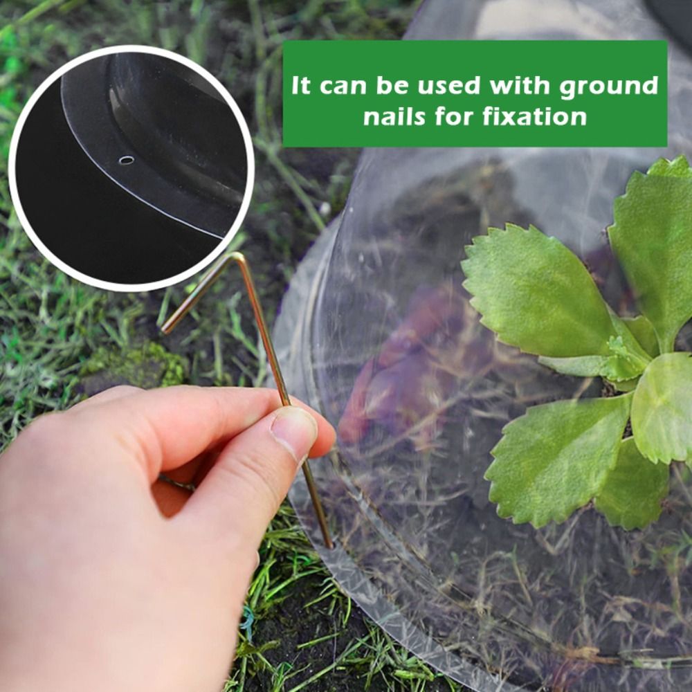 Многоразовый прозрачный пласти – обзор и цена Plastic Dome Clear